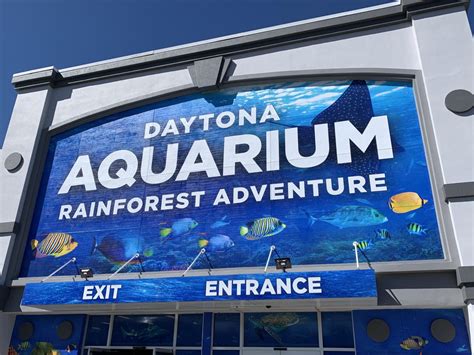 aquarium daytona beach price|daytona aquarium rainforest.